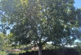 O Penedo 290&nbsp;m²