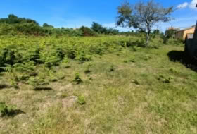 O Penedo 290&nbsp;m²
