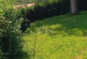 O Penedo 290&nbsp;m²