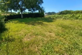 O Penedo 290&nbsp;m²