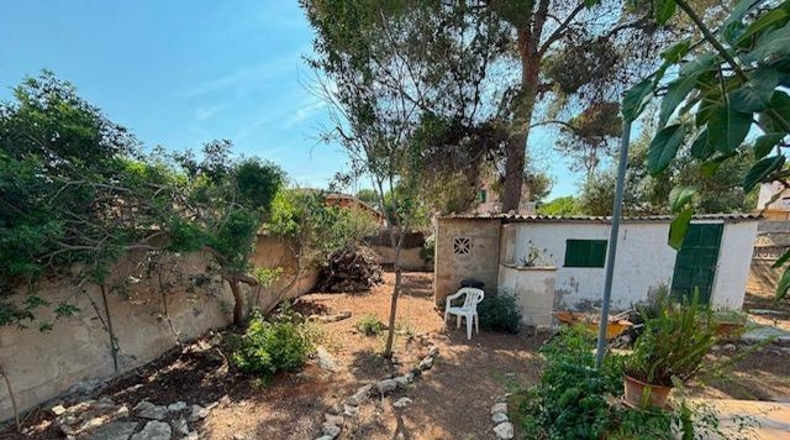Islas Baleares - Calvià - 500m2