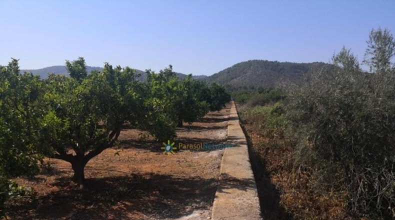 Valencia - Олива - 5736m2