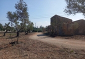 Xalet independent amb terreny en venda a la España, l'Ampolla, ref.: TR417158 foto