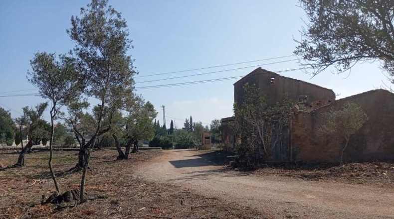 Tarragona - l'Ampolla - 12182m2