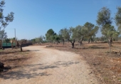 Xalet independent amb terreny en venda a la España, l'Ampolla, ref.: TR417158 foto
