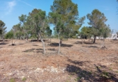Xalet independent amb terreny en venda a la España, l'Ampolla, ref.: TR417158 foto