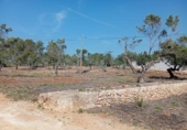 Xalet independent amb terreny en venda a la España, l'Ampolla, ref.: TR417158 foto
