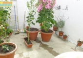 Casa de pueblo en venta en la España, Baena, ref: TR372793 foto