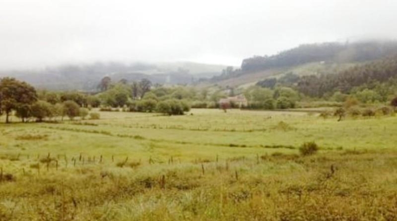 Astúries - Villaviciosa - 1931m2