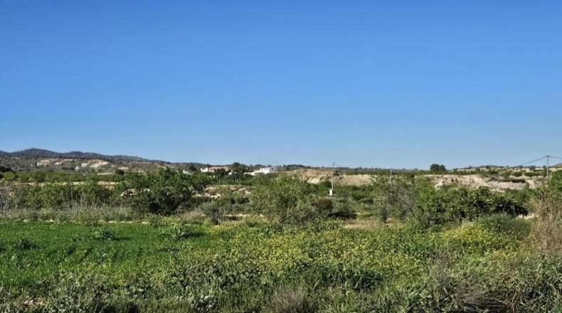 Murcia - Murcia - 16977m2