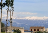 Terreny no urbanitzable en venda a la España, Fuente Vaqueros, ref.: TR417161 foto