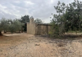 Xalet independent amb terreny en venda a la España, l'Ampolla, ref.: TR417162 foto
