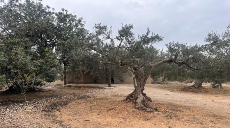 Tarragona - l'Ampolla - 8197m2