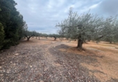 Xalet independent amb terreny en venda a la España, l'Ampolla, ref.: TR417162 foto