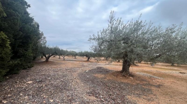 Tarragona - l'Ampolla - 8197m2