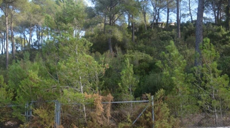 Barcelona - Corbera de Llobregat - 875m2