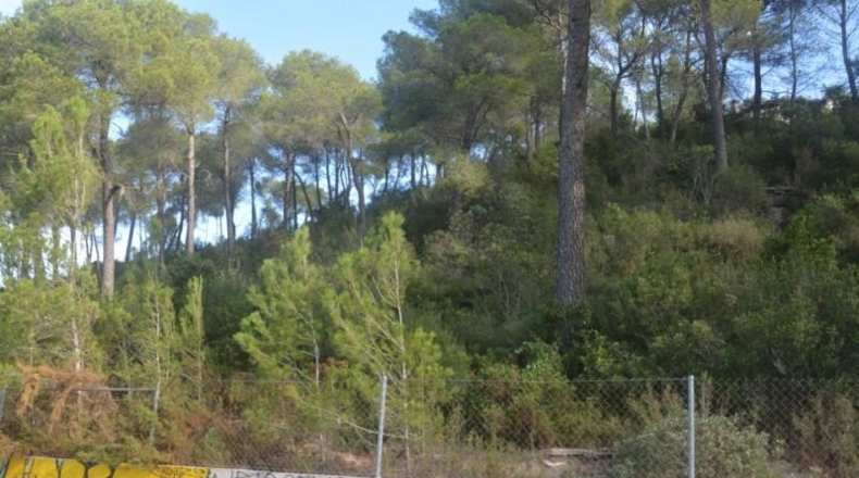 Barcelona - Corbera de Llobregat - 875m2
