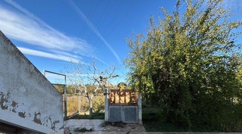 Valencia - Carcaixent - 3234m2