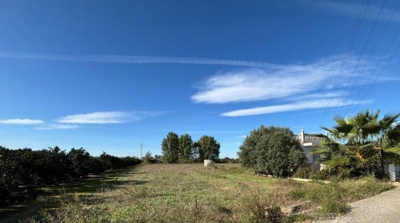 Valencia - Carcaixent - 3234m2