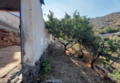Suelo urbano en venta en la España, Sayalonga, ref: TR417165 foto