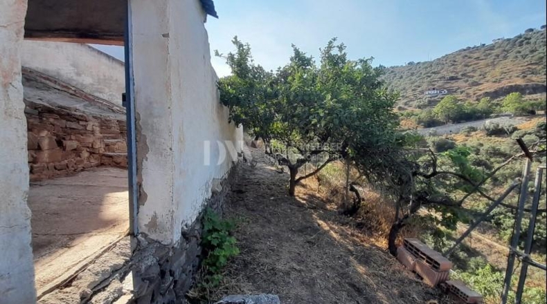 Málaga - Sayalonga - 180m2