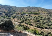 Suelo urbano en venta en la España, Sayalonga, ref: TR417165 foto