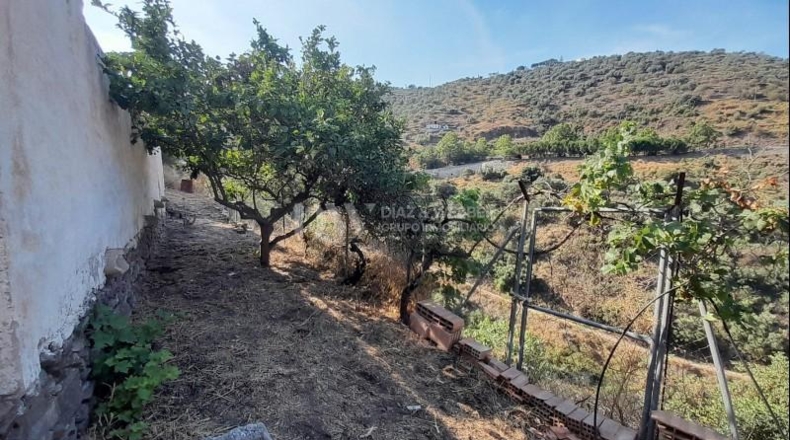 Málaga - Sayalonga - 180m2