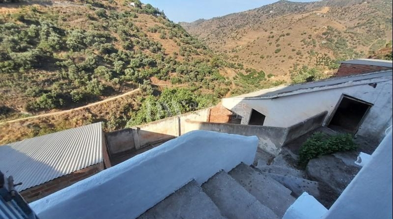Málaga - Sayalonga - 180m2