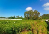 Suelo urbano en venta en la España, Sangenjo, ref: TR417166 foto