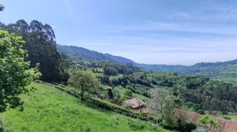 Asturias - Gijón - 1258m2
