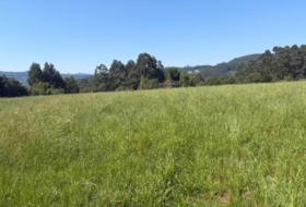 Colunga 1629&nbsp;m²