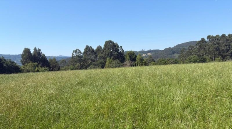 Astúries - Colunga - 1629m2