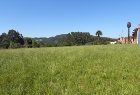 Colunga 1629&nbsp;m²