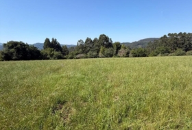 Colunga 1629&nbsp;m²