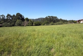Colunga 1629&nbsp;m²