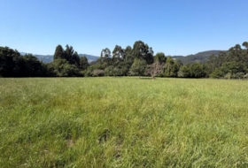 Colunga 1629&nbsp;m²