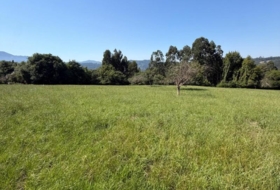 Colunga 1629&nbsp;m²