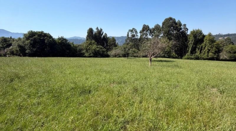 Astúries - Colunga - 1629m2