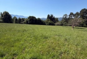 Colunga 1629&nbsp;m²
