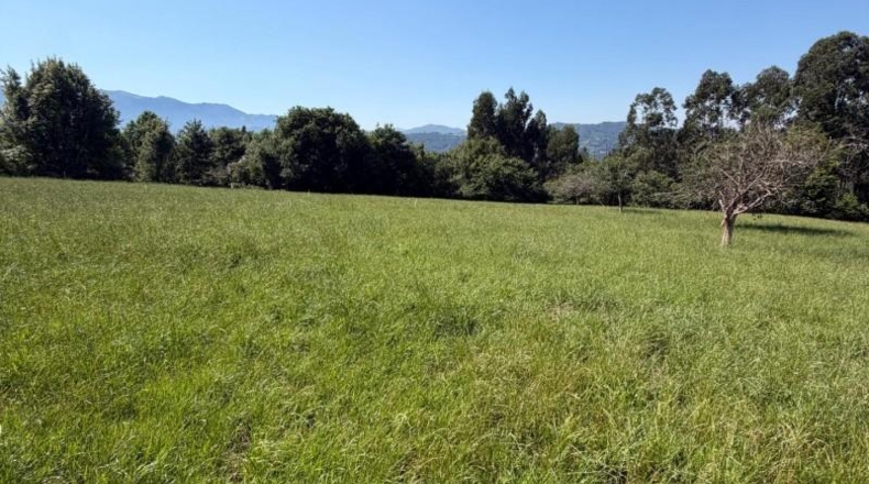 Astúries - Colunga - 1629m2