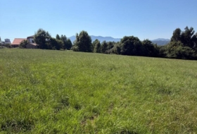 Colunga 1629&nbsp;m²