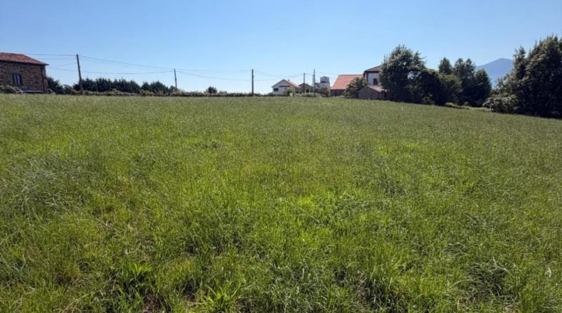 Astúries - Colunga - 1629m2