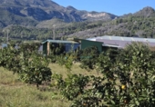 Casa amb terreny en venda a la España, Xeraco, ref.: TR369298 foto