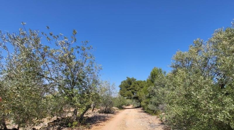 Tarragona - l'Ampolla - 25741m2