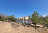 Detached villa with land for sale on España, l'Ampolla, ref: TR417172 photo