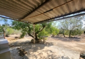 Detached villa with land for sale on España, l'Ampolla, ref: TR417172 photo
