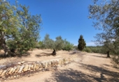 Detached villa with land for sale on España, l'Ampolla, ref: TR417172 photo