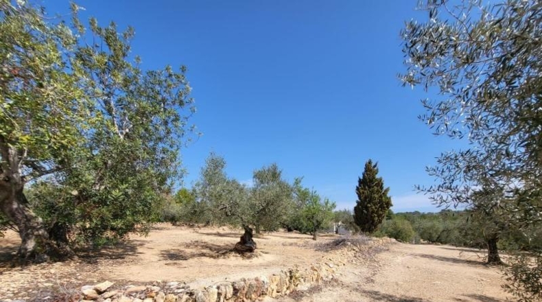 Tarragona - l'Ampolla - 25741m2