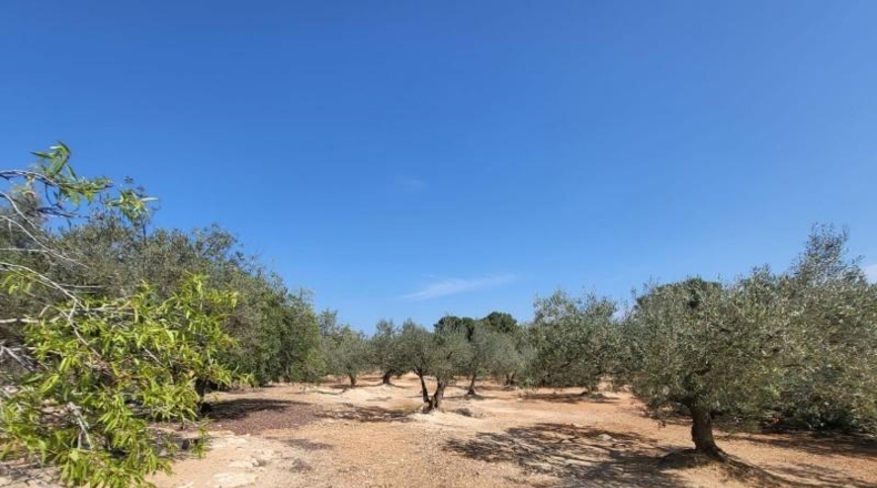 Tarragona - l'Ampolla - 25741m2