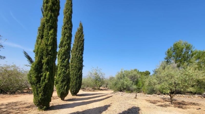 Tarragona - l'Ampolla - 25741m2